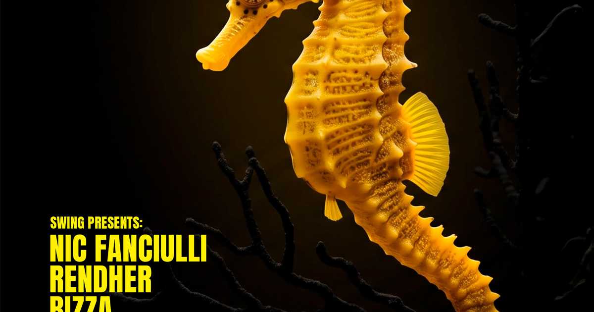 SWING pres. Nic Fanciulli